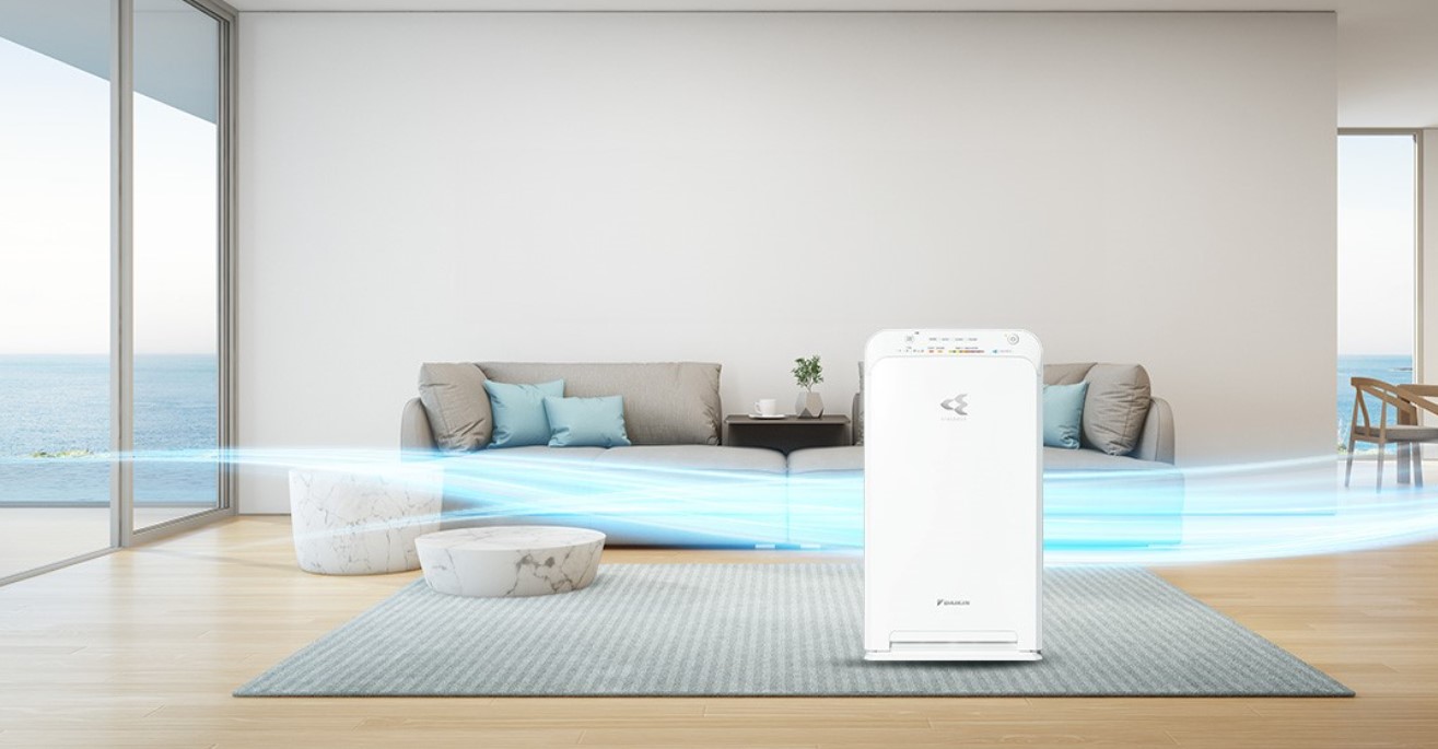 Searching for the Perfect Indoor Air Purifier? Here’s What to Look For 