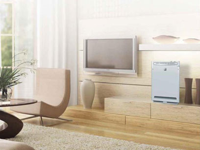 Every Home needs an Air Purifier