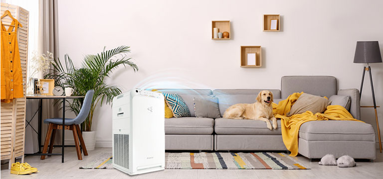 HEPA air purifier