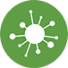Viruses