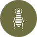 Fleas (Dropping)