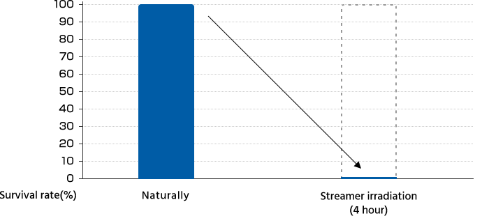 influenza virus