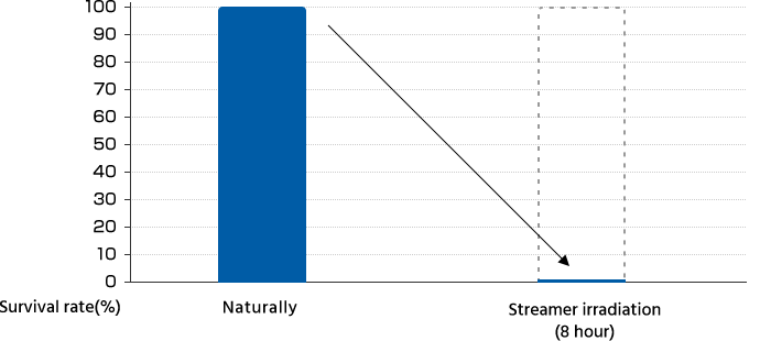 influenza virus