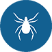 Mites
