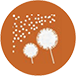 Mould