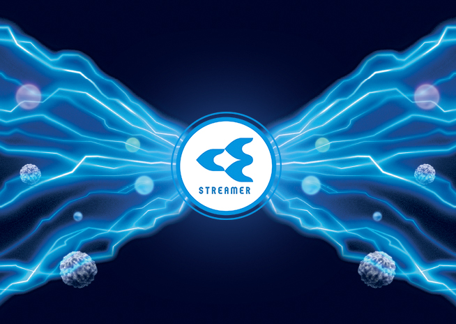 Streamer Discharge Technology
